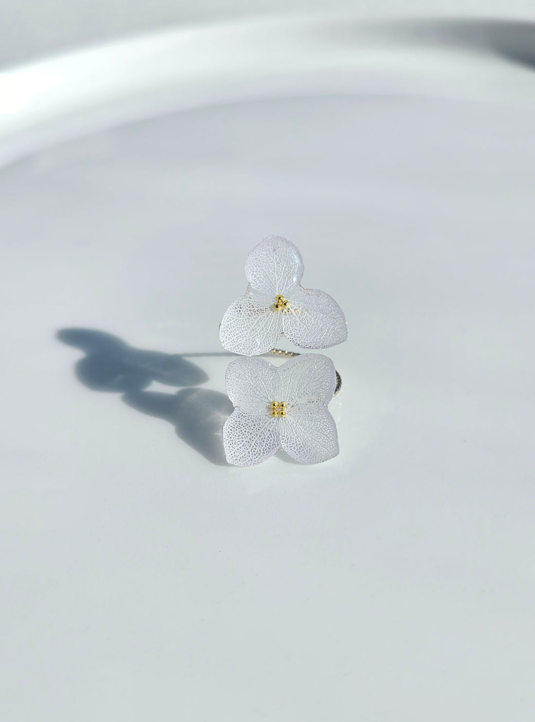 Annabella Hydrangea- White