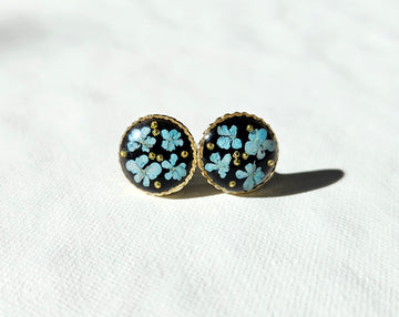Blue lace flower in dark studs