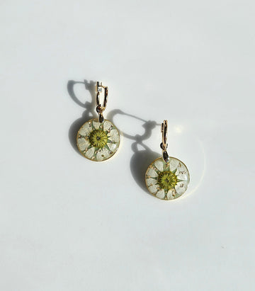 Chamomile Hoops