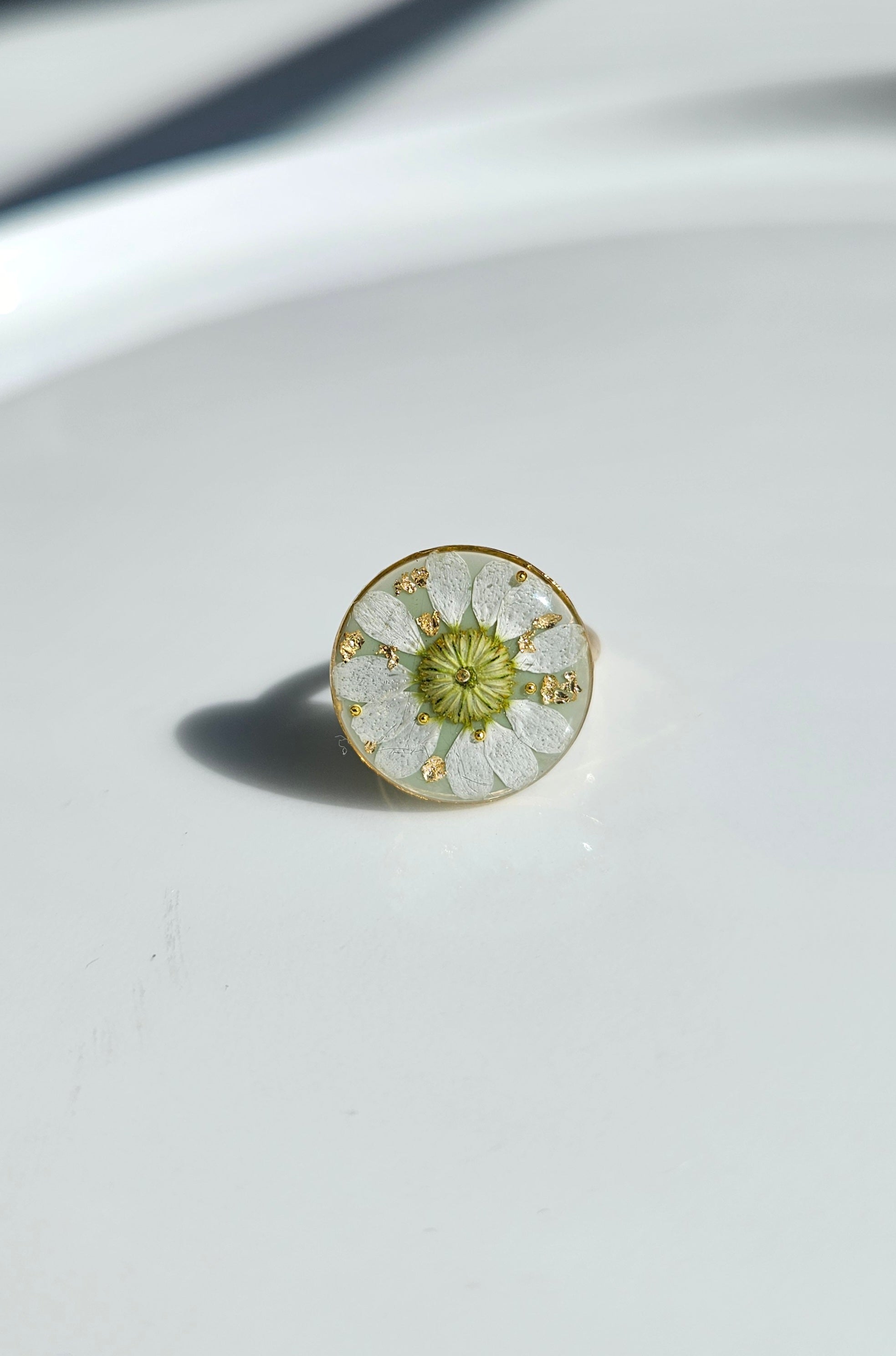 Chamomile in Mint Green