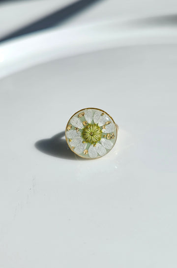 Chamomile in Mint Green