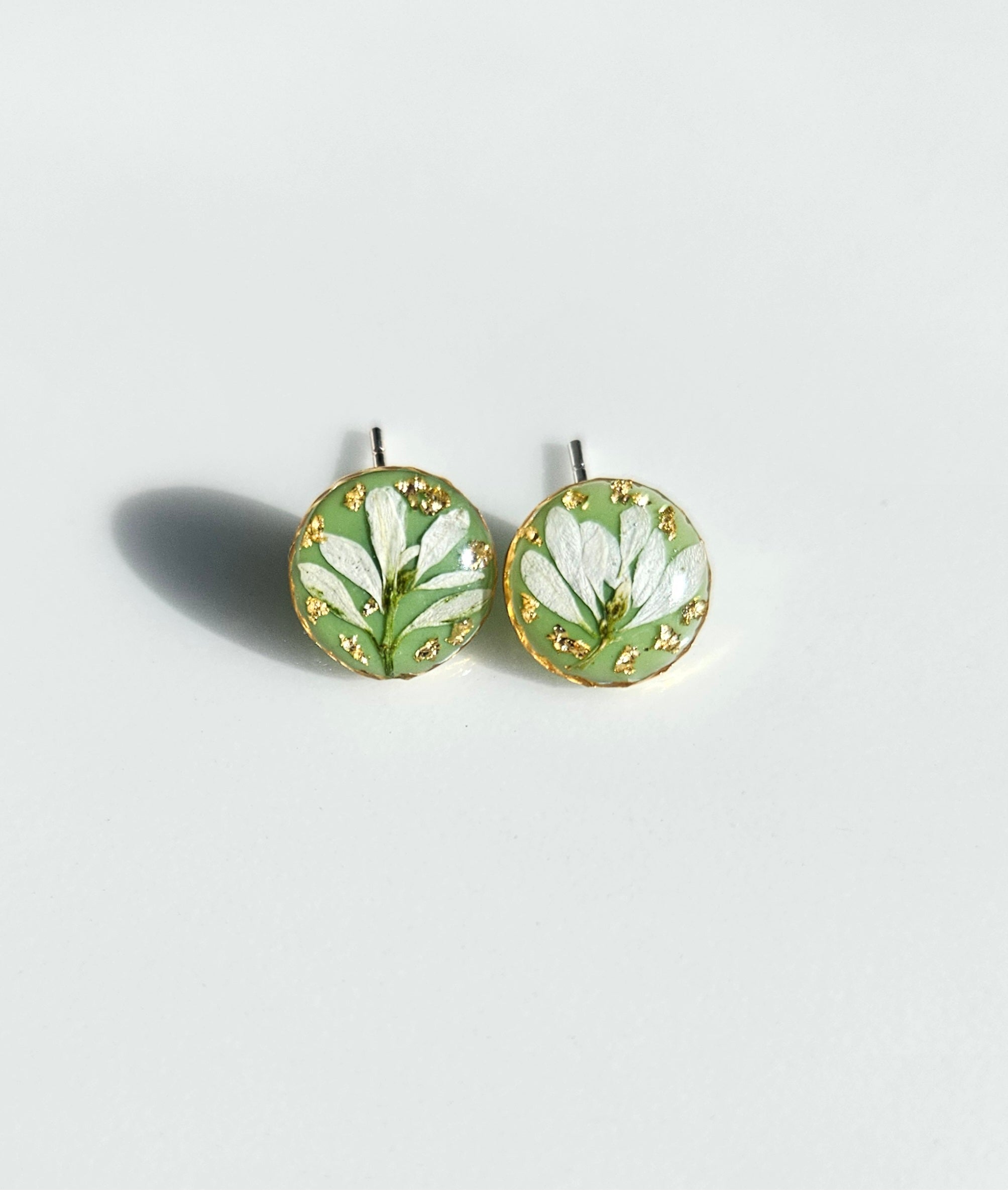 Euphorbia In Green