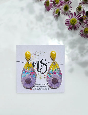 Fleabane with Petal
