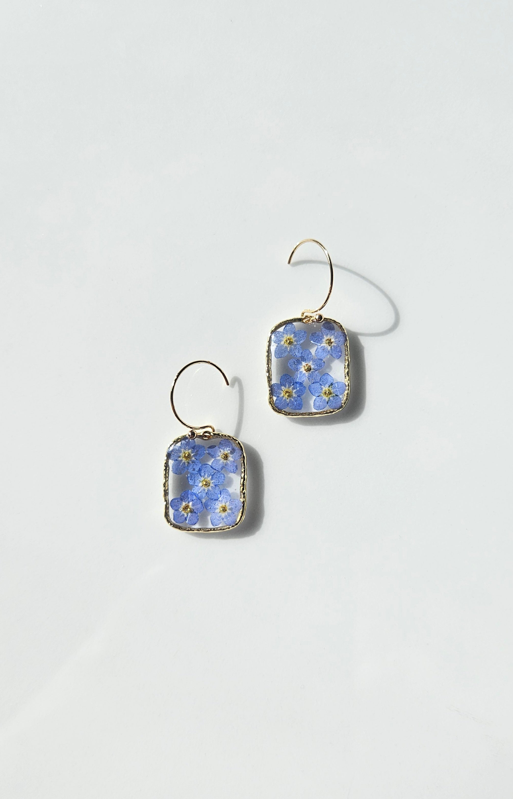 Forget-Me-Not