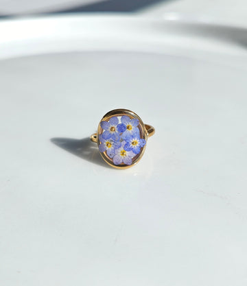 Forget Me Not