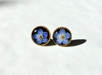 Forget me not in Dark studs