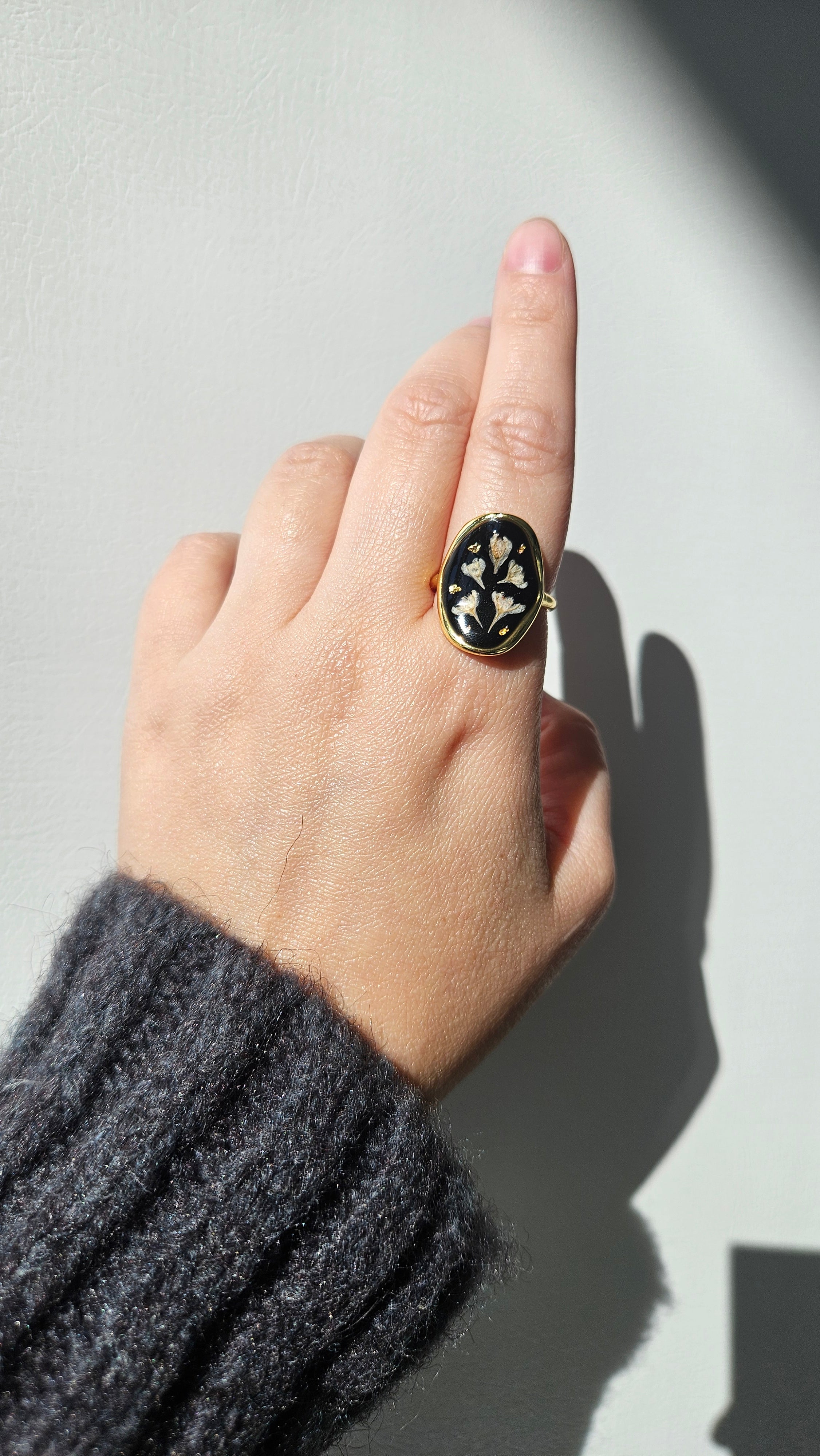 Glossy Abelia in Black