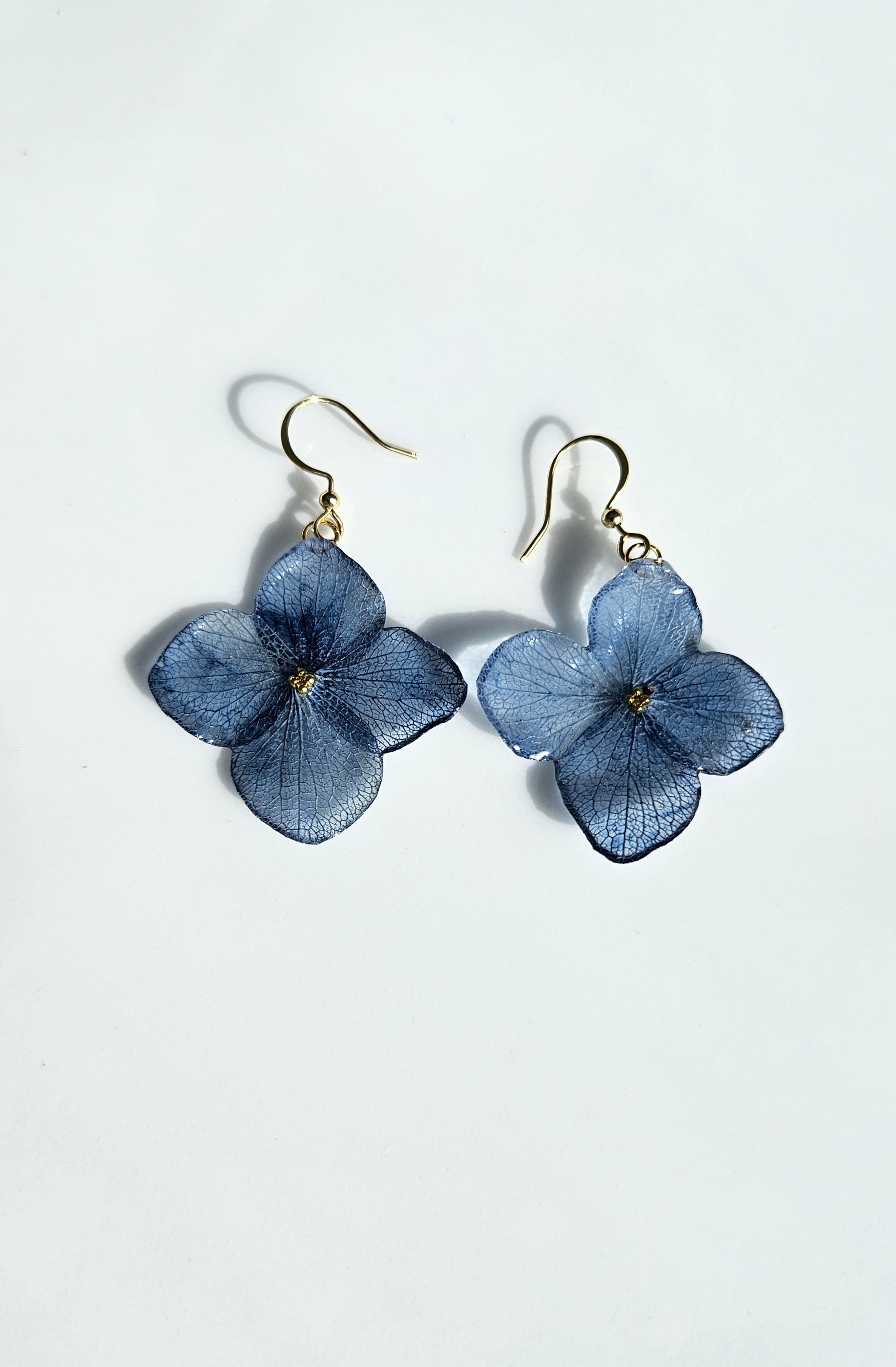 Lacecap Hydrangea- Denim Blue
