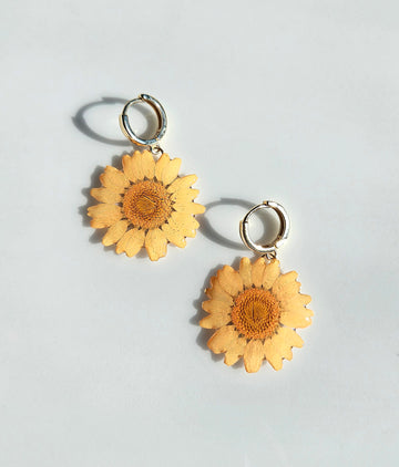 Chrysanthemum Hoops