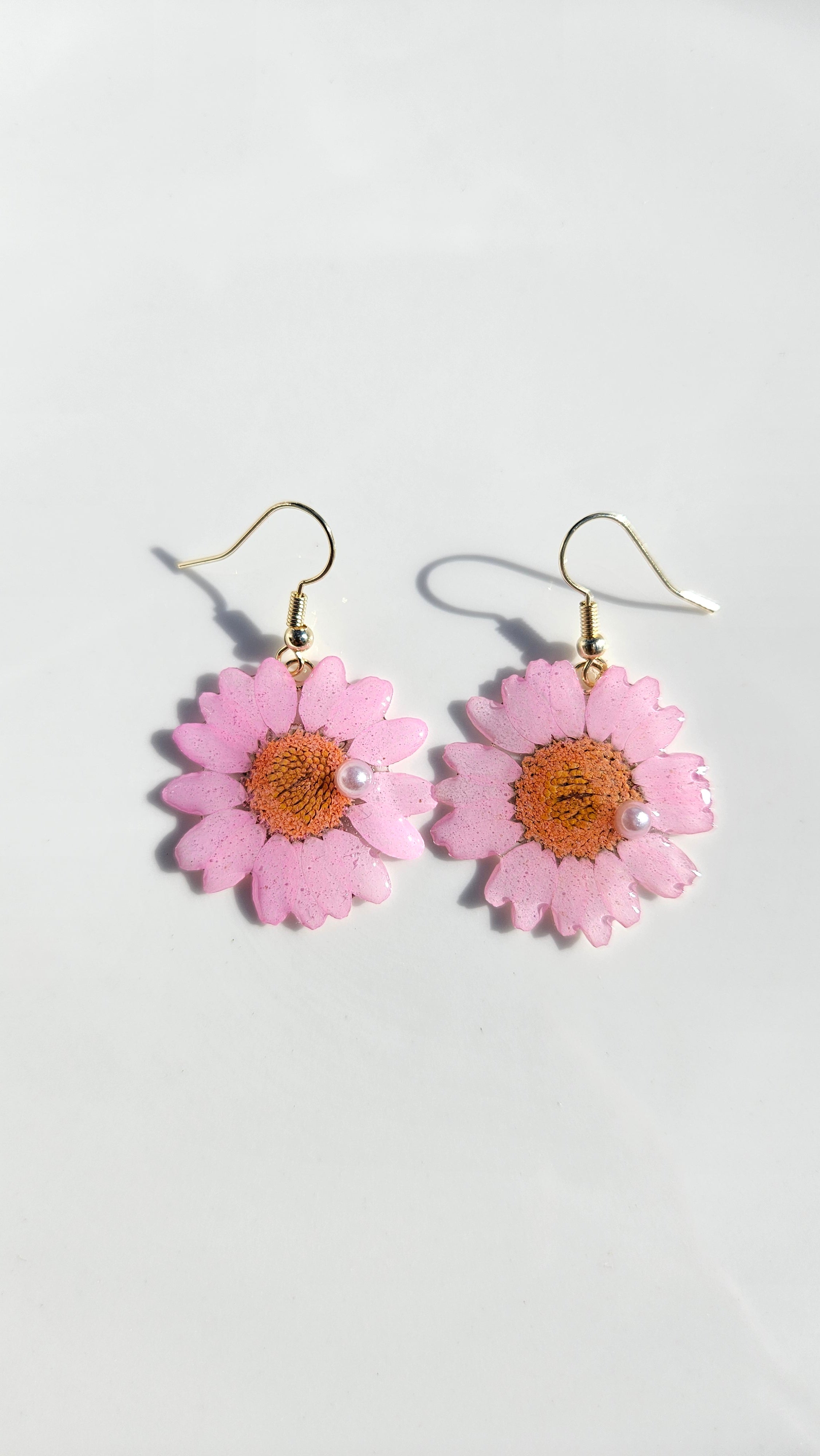 Pink Chrysanthemum