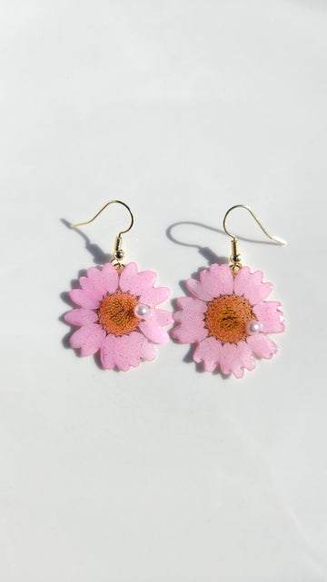 Pink Chrysanthemum