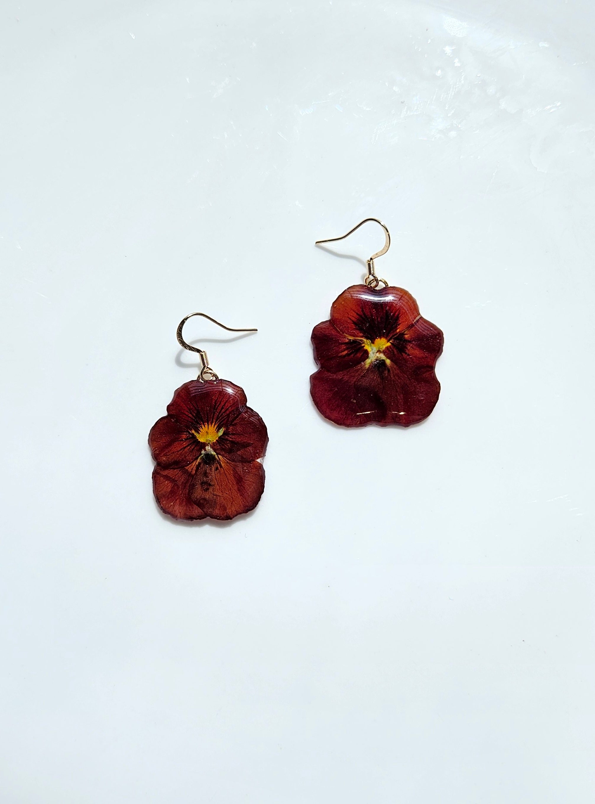 Pansy (Dark Red)