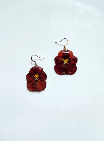 Pansy (Dark Red)