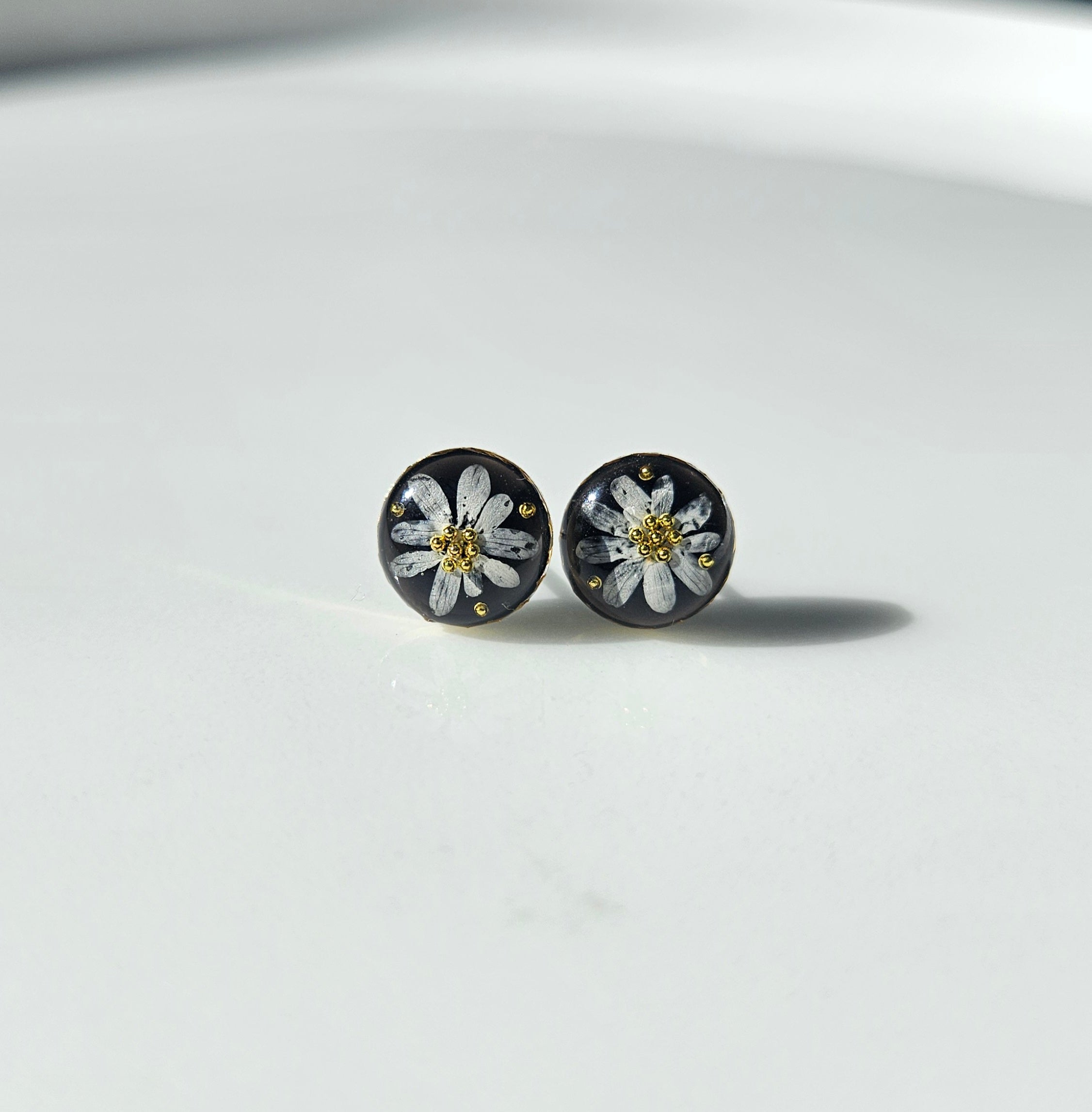 Coriander in Dark studs
