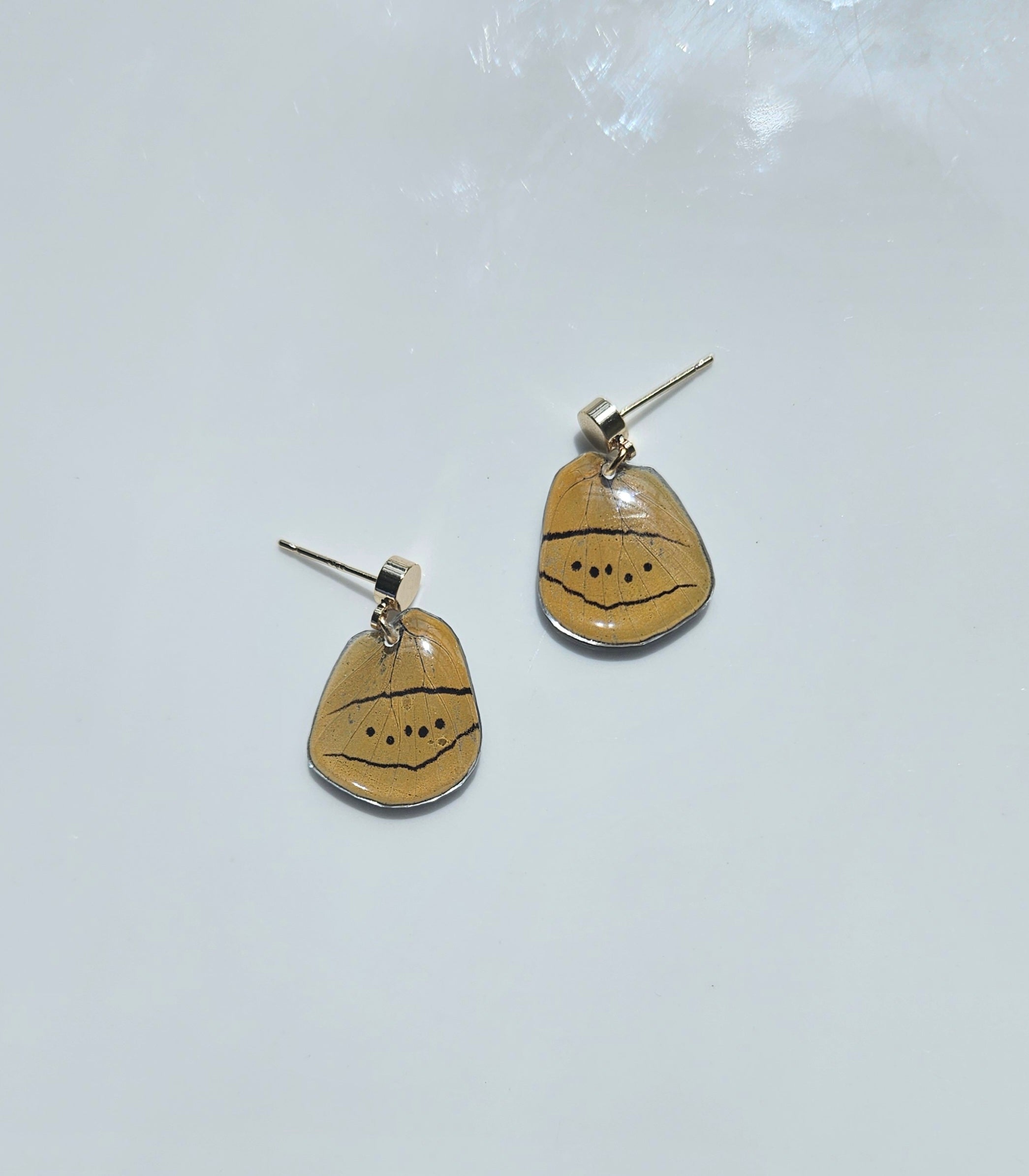 Perisama humboldtii Wing Earrings